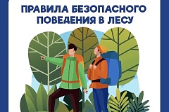 В лес – с умом: как не заблудиться и что делать, если это случилось